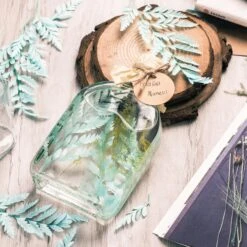 Preserved Pressed Flower Davallia Mariesii, Squirrel's Foot Fern Leaf , Multiple Color, 5 Pcs, 12inches Long, 8inches Width, DIY Material -Glass Plant Store 20200518029 10