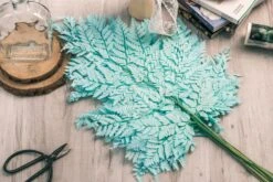 Preserved Pressed Flower Davallia Mariesii, Squirrel's Foot Fern Leaf , Multiple Color, 5 Pcs, 12inches Long, 8inches Width, DIY Material -Glass Plant Store 20200518029 2