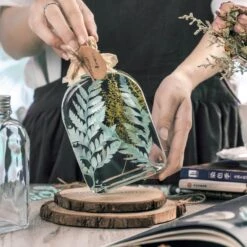 Preserved Pressed Flower Davallia Mariesii, Squirrel's Foot Fern Leaf , Multiple Color, 5 Pcs, 12inches Long, 8inches Width, DIY Material -Glass Plant Store 20200518029 6