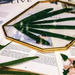 Wall Hanging 8x10" Horizontal Long Octagon Herbarium Brass Double Glass Frame For Pressed Flowers, Dried Flowers, Poster, Floating Frame -Glass Plant Store 20200923001 8x10 9