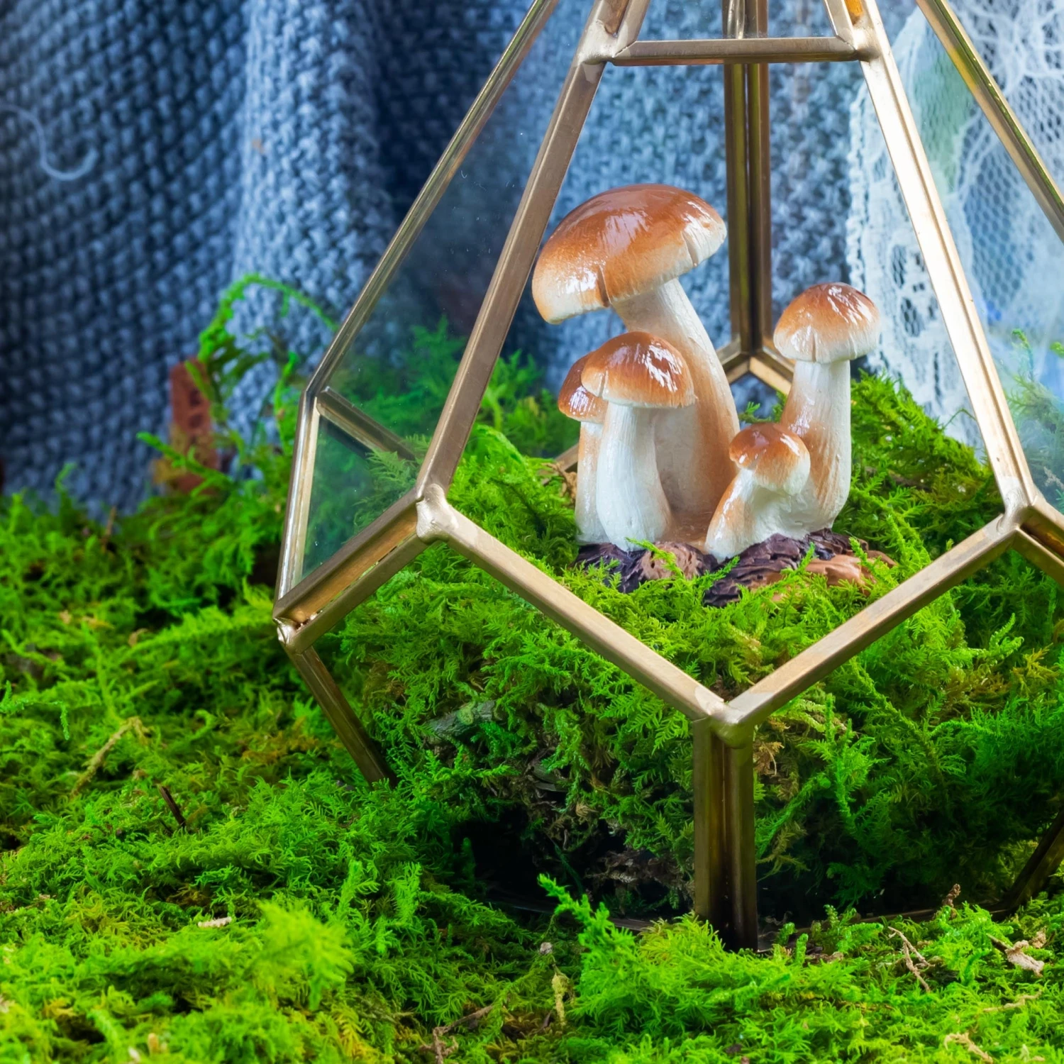 Preserved Feature Like Natural Moss, Fern Moss, Pole Moss Green 20x50cm, For DIY Moss Wall, Moss Terrarium, Moss Centerpiece, Moss Bowl, Centerpiece 3 Preserved Feature Like Natural Moss, Fern Moss, Pole Moss Green 20x50cm, For DIY Moss Wall, Moss Terrarium, Moss Centerpiece, Moss Bowl, Centerpiece - Image 3