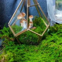 Preserved Feature Like Natural Moss, Fern Moss, Pole Moss Green 20x50cm, For DIY Moss Wall, Moss Terrarium, Moss Centerpiece, Moss Bowl, Centerpiece 8 Preserved Feature Like Natural Moss, Fern Moss, Pole Moss Green 20x50cm, For DIY Moss Wall, Moss Terrarium, Moss Centerpiece, Moss Bowl, Centerpiece -Glass Plant Store 20210323006 5