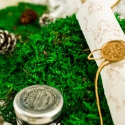 Preserved Forever Green Moss, Pole Moss Green 20x50cm, For DIY Moss Wall, Moss Terrarium, Moss Centerpiece, Moss Bowl, Centerpiece 8 Preserved Forever Green Moss, Pole Moss Green 20x50cm, For DIY Moss Wall, Moss Terrarium, Moss Centerpiece, Moss Bowl, Centerpiece -Glass Plant Store 20210323008 4