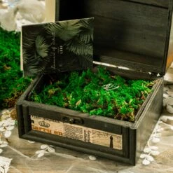 Preserved Forever Green Moss, Pole Moss Green 20x50cm, For DIY Moss Wall, Moss Terrarium, Moss Centerpiece, Moss Bowl, Centerpiece 9 Preserved Forever Green Moss, Pole Moss Green 20x50cm, For DIY Moss Wall, Moss Terrarium, Moss Centerpiece, Moss Bowl, Centerpiece -Glass Plant Store 20210323008 5