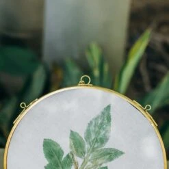 NCYP Wall Hanging Round 5" 4.3" Herbarium Brass Glass Frame For Pressed Flowers, Dried Flowers, Poster, Double Glass, Floating Frame -Glass Plant Store 20210522003 5