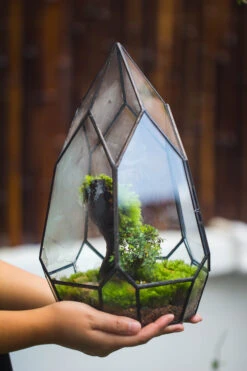 NCYP Irregular Close Geometric Glass Terrarium With Door Tall Teardrop Planter Pot Miniature Moss, Tropical Plants Orchid Container -Glass Plant Store 20210624001 4