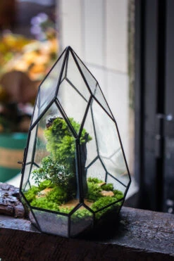 NCYP Irregular Close Geometric Glass Terrarium With Door Tall Teardrop Planter Pot Miniature Moss, Tropical Plants Orchid Container -Glass Plant Store 20210624001 6
