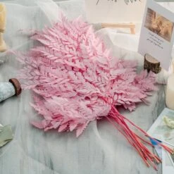 Preserved Pressed Flower Davallia Mariesii, Squirrel's Foot Fern Leaf , Multiple Color, 5 Pcs, 12inches Long, 8inches Width, DIY Material -Glass Plant Store 20210820002 4