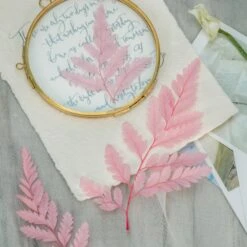 Preserved Pressed Flower Davallia Mariesii, Squirrel's Foot Fern Leaf , Multiple Color, 5 Pcs, 12inches Long, 8inches Width, DIY Material -Glass Plant Store 20210820002 7