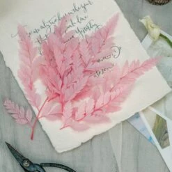 Preserved Pressed Flower Davallia Mariesii, Squirrel's Foot Fern Leaf , Multiple Color, 5 Pcs, 12inches Long, 8inches Width, DIY Material -Glass Plant Store 20210820002 8