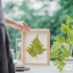NCYP Handmade Personalized Tabletop Wall Hanging Natural Wood Glass Floating Frame For Photo -Glass Plant Store 20210831029 20200518019 11