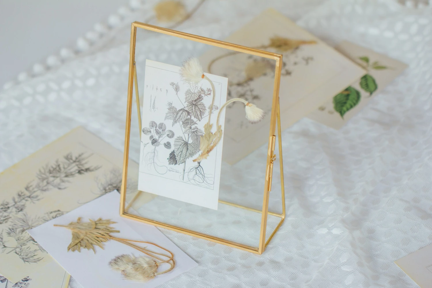 NCYP Tabletop Gold 5x7, 6x8 5.5x7 Brass Glass Photo Picture Display Frame 4 NCYP Tabletop Gold 5x7, 6x8 5.5x7 Brass Glass Photo Picture Display Frame - Image 4