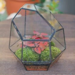 NCYP Small Close Geometric Glass Terrarium With Door, Tin Sealed Irregular Tall Planter For Moss Flower Pot 9 NCYP Small Close Geometric Glass Terrarium With Door, Tin Sealed Irregular Tall Planter For Moss Flower Pot -Glass Plant Store 20211215002 6