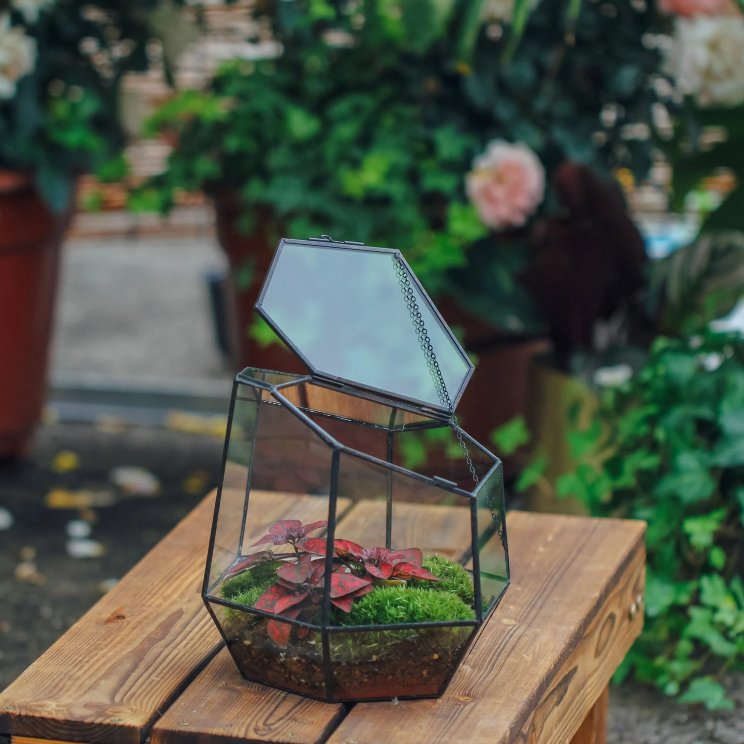 NCYP Small Close Geometric Glass Terrarium With Door, Tin Sealed Irregular Tall Planter For Moss Flower Pot 5 NCYP Small Close Geometric Glass Terrarium With Door, Tin Sealed Irregular Tall Planter For Moss Flower Pot - Image 5