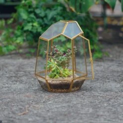 NCYP Close Geometric Glass Terrarium With Door, Brass, Irregular Tall Planter Succulent Cacti Fern Flower Pot 9 NCYP Close Geometric Glass Terrarium With Door, Brass, Irregular Tall Planter Succulent Cacti Fern Flower Pot -Glass Plant Store 20211215003 5