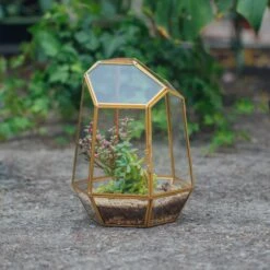 NCYP Close Geometric Glass Terrarium With Door, Brass, Irregular Tall Planter Succulent Cacti Fern Flower Pot