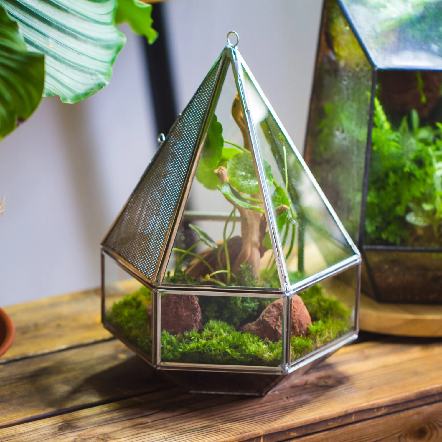 NCYP Hanging Six-surface Diamond Glass Geometric Terrarium, Stainless Steel, Silver, With Mesh For Insect Pet 2 NCYP Hanging Six-surface Diamond Glass Geometric Terrarium, Stainless Steel, Silver, With Mesh For Insect Pet - Image 2