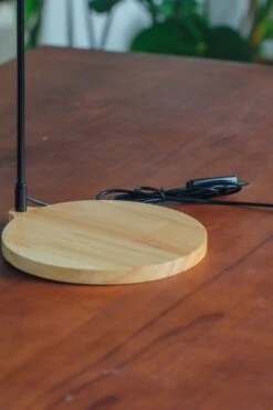 NCYP Customizable Tabletop Natural Wood Round Board LED Grow Display Light Indoor 10W For Terrarium Succulent Fern Bonsai Moss -40cm 20 NCYP Customizable Tabletop Natural Wood Round Board LED Grow Display Light Indoor 10W For Terrarium Succulent Fern Bonsai Moss -40cm -Glass Plant Store 20220414001 3 5be58411 ecd9 4d6b 9547 23f83bc702fe