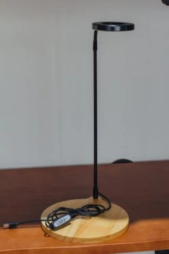 NCYP Customizable Tabletop Natural Wood Round Board LED Grow Display Light Indoor 10W For Terrarium Succulent Fern Bonsai Moss -30cm -Glass Plant Store 20220414001 4