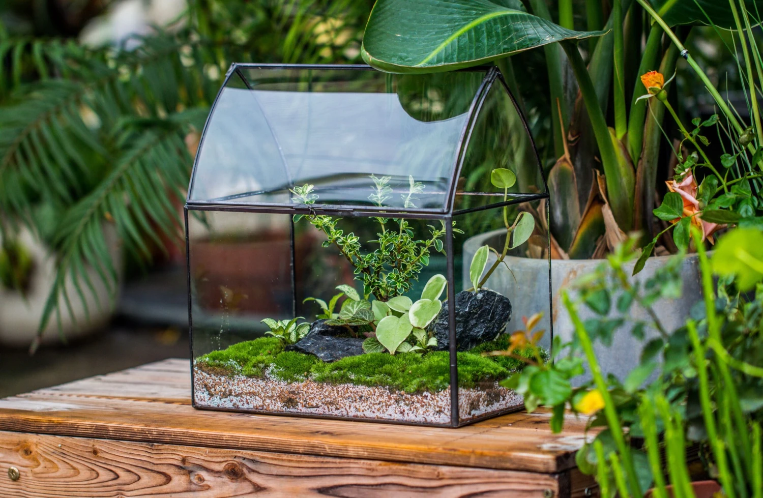 Handmade Unique Closed Terrarium With Arched Roof | HouseShape Closed Planter For Tropical Plants, Moss | Miniature Greenhouse Gift 11 Handmade Unique Closed Terrarium With Arched Roof | HouseShape Closed Planter For Tropical Plants, Moss | Miniature Greenhouse Gift - Image 11