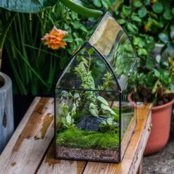 Handmade Unique Closed Terrarium With Arched Roof | HouseShape Closed Planter For Tropical Plants, Moss | Miniature Greenhouse Gift 26 Handmade Unique Closed Terrarium With Arched Roof | HouseShape Closed Planter For Tropical Plants, Moss | Miniature Greenhouse Gift -Glass Plant Store 20220607004 15