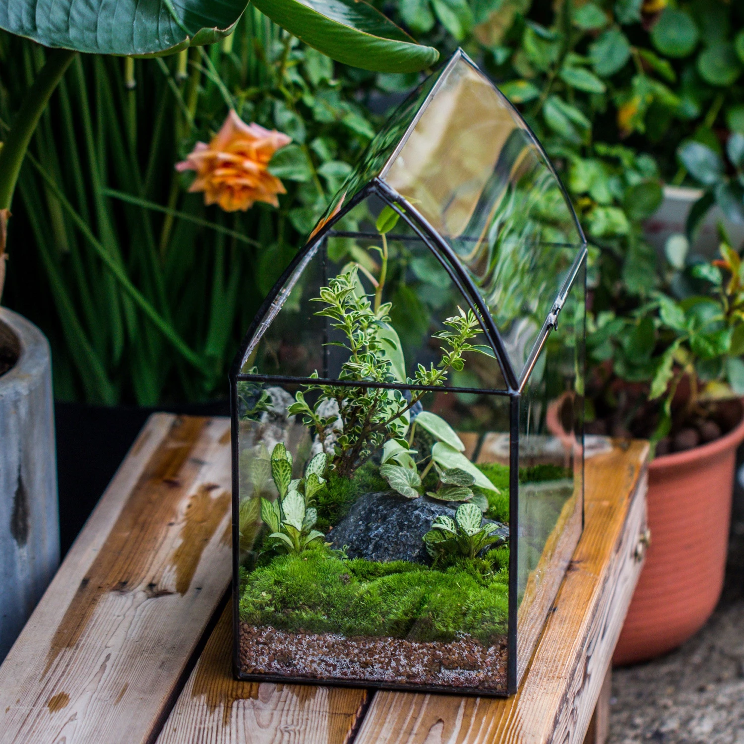 Handmade Unique Closed Terrarium With Arched Roof | HouseShape Closed Planter For Tropical Plants, Moss | Miniature Greenhouse Gift 13 Handmade Unique Closed Terrarium With Arched Roof | HouseShape Closed Planter For Tropical Plants, Moss | Miniature Greenhouse Gift - Image 13