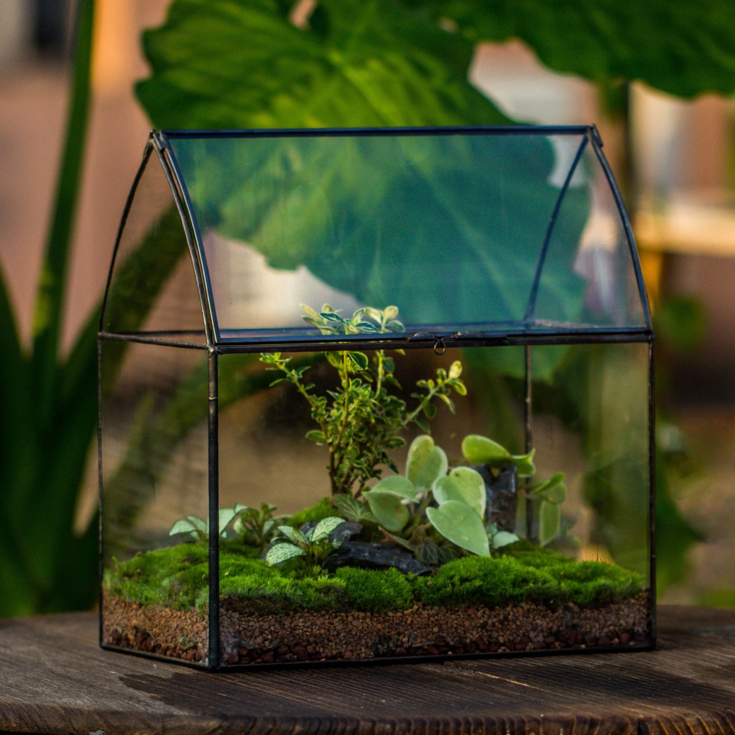 Handmade Unique Closed Terrarium With Arched Roof | HouseShape Closed Planter For Tropical Plants, Moss | Miniature Greenhouse Gift 2 Handmade Unique Closed Terrarium With Arched Roof | HouseShape Closed Planter For Tropical Plants, Moss | Miniature Greenhouse Gift - Image 2