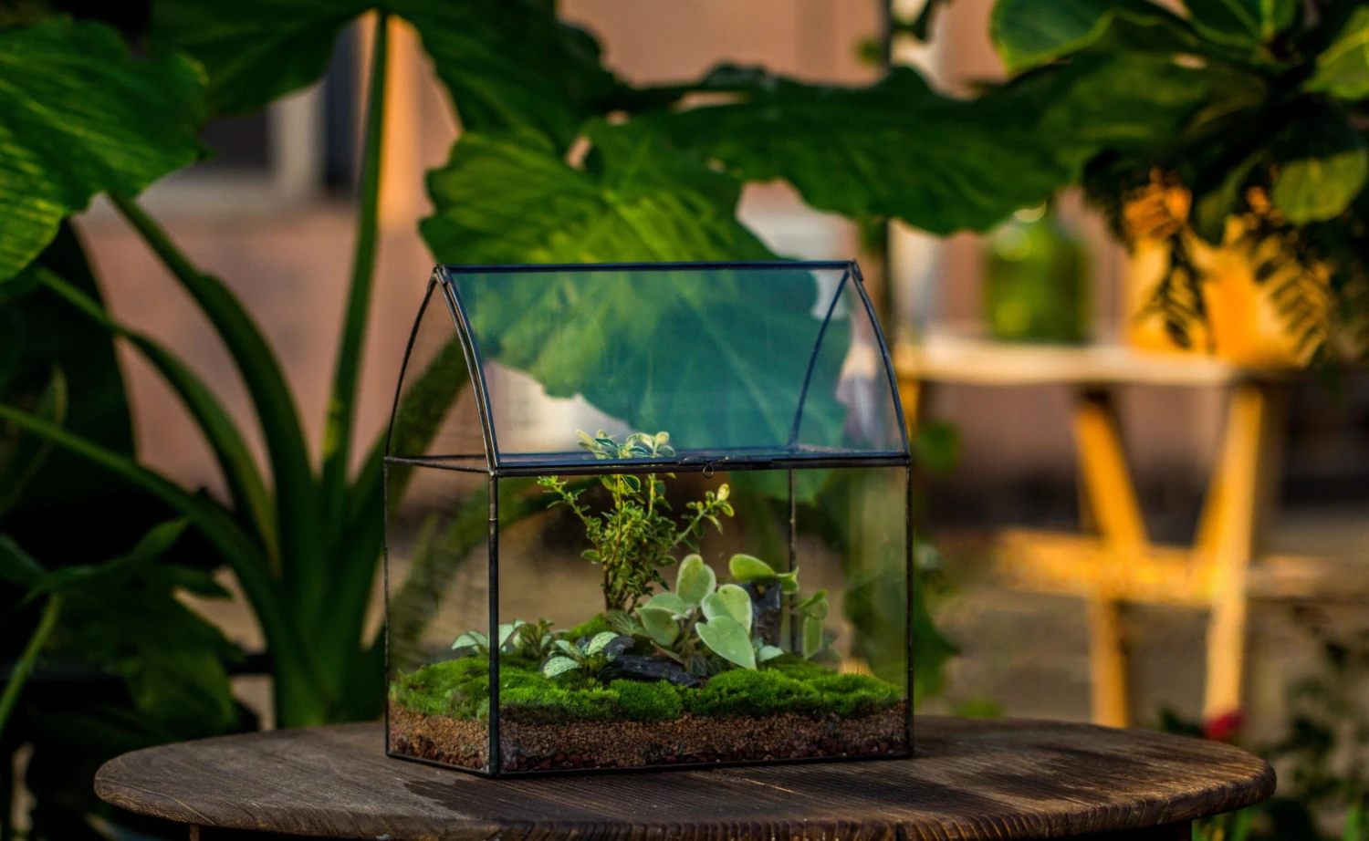 Handmade Unique Closed Terrarium With Arched Roof | HouseShape Closed Planter For Tropical Plants, Moss | Miniature Greenhouse Gift 14 Handmade Unique Closed Terrarium With Arched Roof | HouseShape Closed Planter For Tropical Plants, Moss | Miniature Greenhouse Gift - Image 14