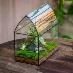 Handmade Unique Closed Terrarium With Arched Roof | HouseShape Closed Planter For Tropical Plants, Moss | Miniature Greenhouse Gift 19 Handmade Unique Closed Terrarium With Arched Roof | HouseShape Closed Planter For Tropical Plants, Moss | Miniature Greenhouse Gift -Glass Plant Store 20220607004 2