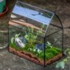 Handmade Unique Closed Terrarium With Arched Roof | HouseShape Closed Planter For Tropical Plants, Moss | Miniature Greenhouse Gift