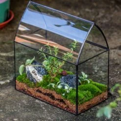 Handmade Unique Closed Terrarium With Arched Roof | HouseShape Closed Planter For Tropical Plants, Moss | Miniature Greenhouse Gift