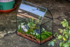 Handmade Unique Closed Terrarium With Arched Roof | HouseShape Closed Planter For Tropical Plants, Moss | Miniature Greenhouse Gift 20 Handmade Unique Closed Terrarium With Arched Roof | HouseShape Closed Planter For Tropical Plants, Moss | Miniature Greenhouse Gift -Glass Plant Store 20220607004 3 7d2897c0 6d93 4a53 9525 ba44d04ee581