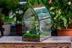 Handmade Unique Closed Terrarium With Arched Roof | HouseShape Closed Planter For Tropical Plants, Moss | Miniature Greenhouse Gift 22 Handmade Unique Closed Terrarium With Arched Roof | HouseShape Closed Planter For Tropical Plants, Moss | Miniature Greenhouse Gift -Glass Plant Store 20220607004 5 d711b16b 3418 4c59 9506 b04e257f015f