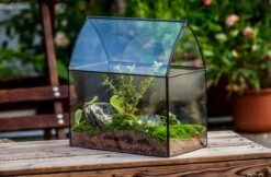 Handmade Unique Closed Terrarium With Arched Roof | HouseShape Closed Planter For Tropical Plants, Moss | Miniature Greenhouse Gift 16 Handmade Unique Closed Terrarium With Arched Roof | HouseShape Closed Planter For Tropical Plants, Moss | Miniature Greenhouse Gift -Glass Plant Store 20220607004 7 9150c74d a478 41a9 b939 6cb9d8e498d0