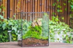 8x8x10" NCYP Basic Rectangle Close Geometric Glass Tin Terrarium, Planter For Moss Wall, Fern, Landscape, No Plants 23 8x8x10" NCYP Basic Rectangle Close Geometric Glass Tin Terrarium, Planter For Moss Wall, Fern, Landscape, No Plants -Glass Plant Store 20221118029 25