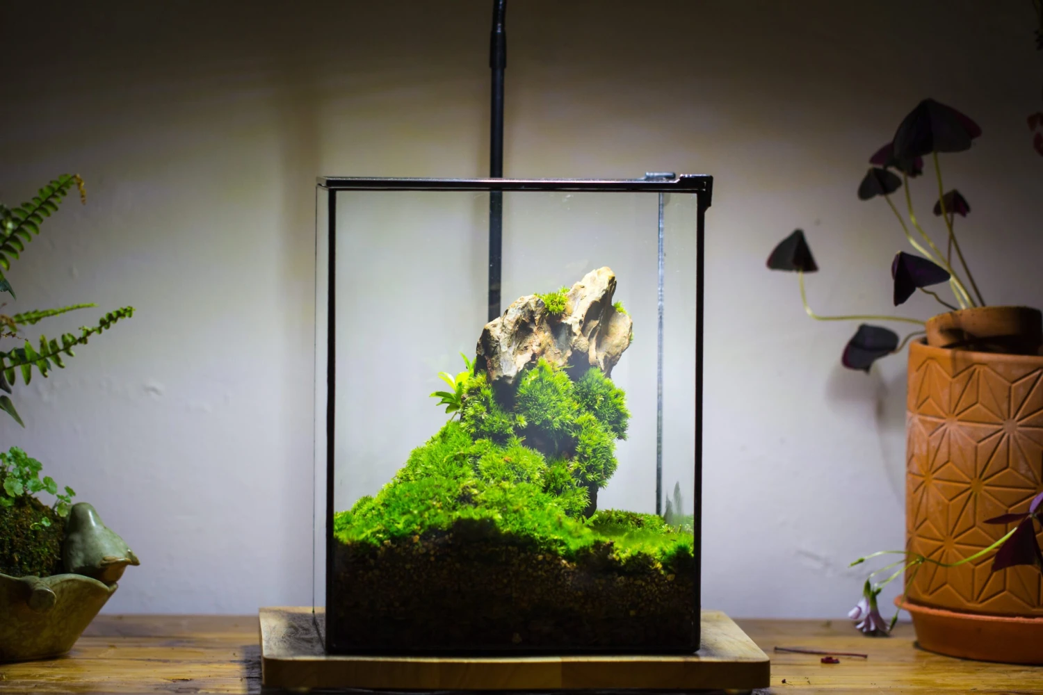 8x8x10" NCYP Basic Rectangle Close Geometric Glass Tin Terrarium, Planter For Moss Wall, Fern, Landscape, No Plants 4 8x8x10" NCYP Basic Rectangle Close Geometric Glass Tin Terrarium, Planter For Moss Wall, Fern, Landscape, No Plants - Image 4