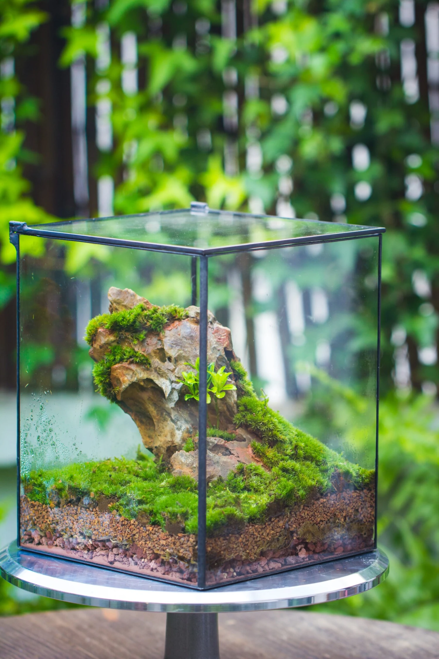 8x8x10" NCYP Basic Rectangle Close Geometric Glass Tin Terrarium, Planter For Moss Wall, Fern, Landscape, No Plants 6 8x8x10" NCYP Basic Rectangle Close Geometric Glass Tin Terrarium, Planter For Moss Wall, Fern, Landscape, No Plants - Image 6