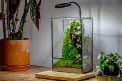 8x12" Close Geometric Glass Terrarium With Door, Tin Sealed Rectangle Tall Planter For Moss Wall, Fern, Landscape Multiple Size, No Plants 26 8x12" Close Geometric Glass Terrarium With Door, Tin Sealed Rectangle Tall Planter For Moss Wall, Fern, Landscape Multiple Size, No Plants -Glass Plant Store 20221118037 1