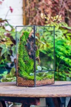 8x12" Close Geometric Glass Terrarium With Door, Tin Sealed Rectangle Tall Planter For Moss Wall, Fern, Landscape Multiple Size, No Plants 23 8x12" Close Geometric Glass Terrarium With Door, Tin Sealed Rectangle Tall Planter For Moss Wall, Fern, Landscape Multiple Size, No Plants -Glass Plant Store 20221118037 14