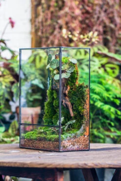 8x12" Close Geometric Glass Terrarium With Door, Tin Sealed Rectangle Tall Planter For Moss Wall, Fern, Landscape Multiple Size, No Plants 24 8x12" Close Geometric Glass Terrarium With Door, Tin Sealed Rectangle Tall Planter For Moss Wall, Fern, Landscape Multiple Size, No Plants -Glass Plant Store 20221118037 16