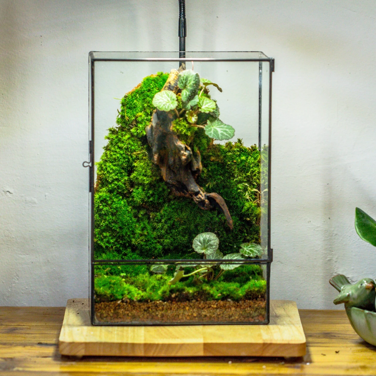 8x12" Close Geometric Glass Terrarium With Door, Tin Sealed Rectangle Tall Planter For Moss Wall, Fern, Landscape Multiple Size, No Plants 2 8x12" Close Geometric Glass Terrarium With Door, Tin Sealed Rectangle Tall Planter For Moss Wall, Fern, Landscape Multiple Size, No Plants - Image 2