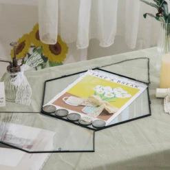 Wall Hanging Black Hexagon 12" Herbarium Brass Glass Frame For Thick Pressed Flowers, Dried Flowers, Poster, Coin, Double Glass, Floating 25 Wall Hanging Black Hexagon 12" Herbarium Brass Glass Frame For Thick Pressed Flowers, Dried Flowers, Poster, Coin, Double Glass, Floating -Glass Plant Store 20221122003 9