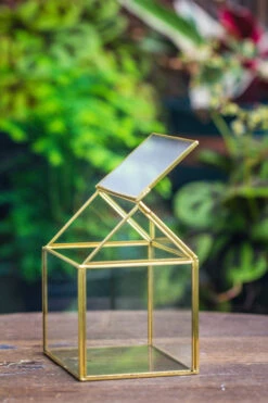 Handmade Black Gold Glass Box Geometric Terrarium With Lid For Planter Container Storage Case Gift 38 Handmade Black Gold Glass Box Geometric Terrarium With Lid For Planter Container Storage Case Gift -Glass Plant Store 20230221018 5