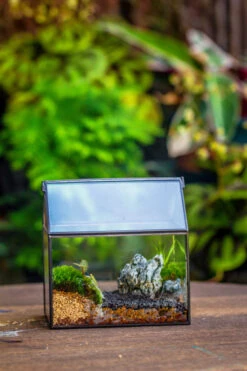 Handmade Black Gold Glass Box Geometric Terrarium With Lid For Planter Container Storage Case Gift 24 Handmade Black Gold Glass Box Geometric Terrarium With Lid For Planter Container Storage Case Gift -Glass Plant Store 20230221019 2