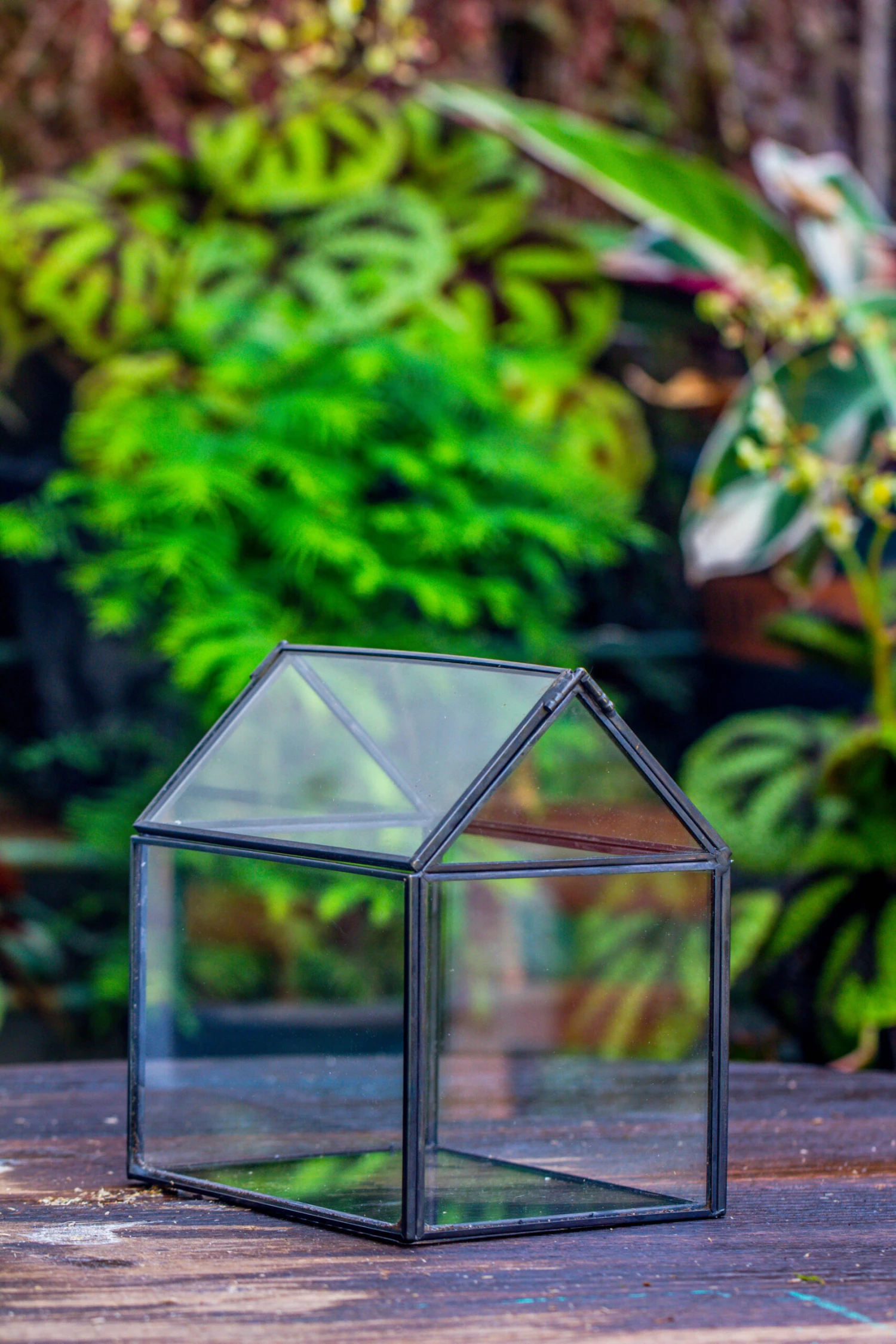 Handmade Black Gold Glass Box Geometric Terrarium With Lid For Planter Container Storage Case Gift 13 Handmade Black Gold Glass Box Geometric Terrarium With Lid For Planter Container Storage Case Gift - Image 13