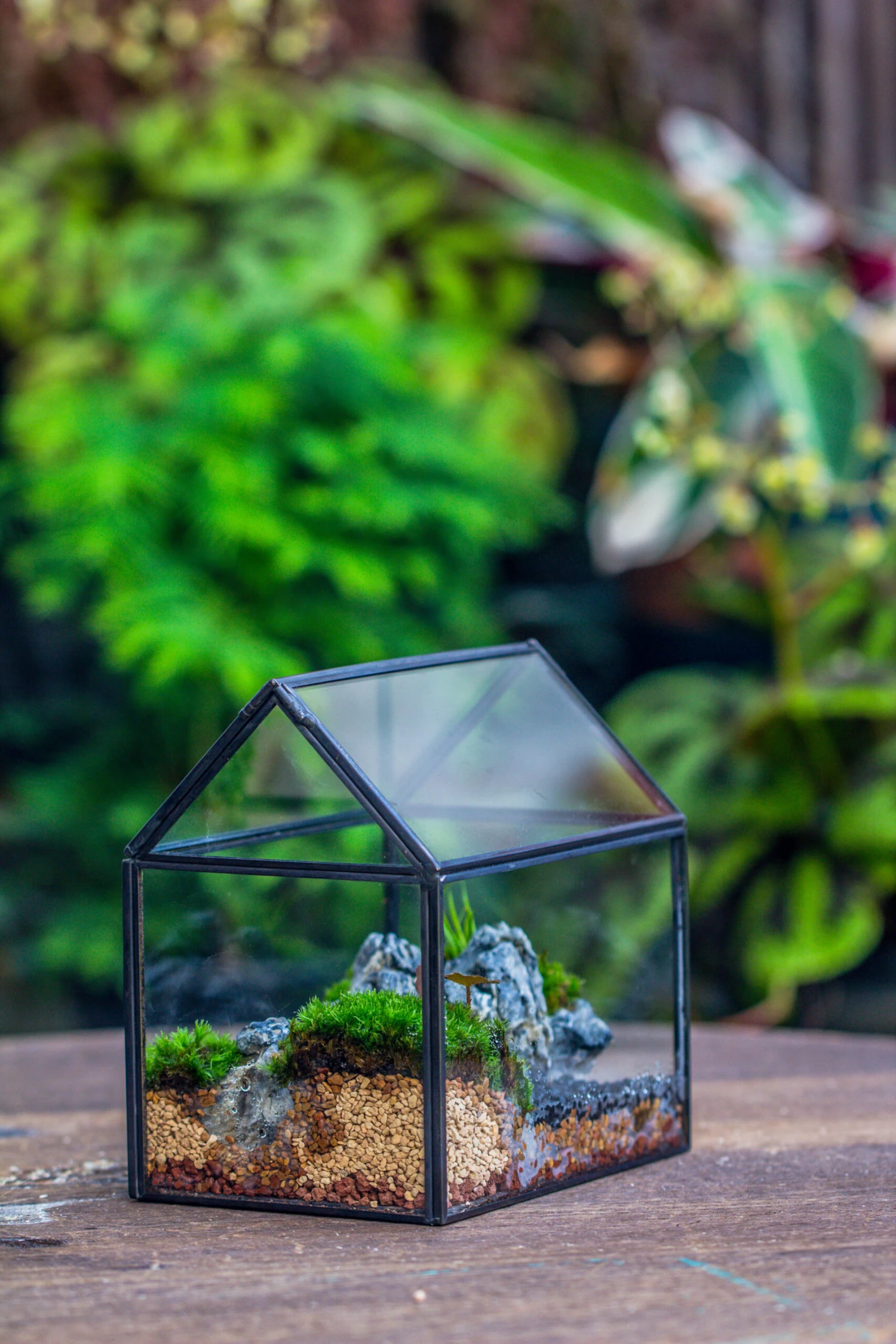 Handmade Black Gold Glass Box Geometric Terrarium With Lid For Planter Container Storage Case Gift 15 Handmade Black Gold Glass Box Geometric Terrarium With Lid For Planter Container Storage Case Gift - Image 15