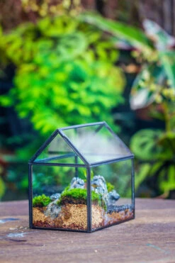 Handmade Black Gold Glass Box Geometric Terrarium With Lid For Planter Container Storage Case Gift 23 Handmade Black Gold Glass Box Geometric Terrarium With Lid For Planter Container Storage Case Gift -Glass Plant Store 20230221019 4 e29abec4 3894 4b72 93af 029848c7ae0f