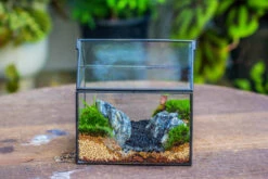 Handmade Black Gold Glass Box Geometric Terrarium With Lid For Planter Container Storage Case Gift 28 Handmade Black Gold Glass Box Geometric Terrarium With Lid For Planter Container Storage Case Gift -Glass Plant Store 20230221019 9