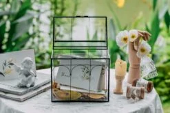 Vintage House Glass Geometric Terrarium Card Box Black -Glass Plant Store 20230329020 3