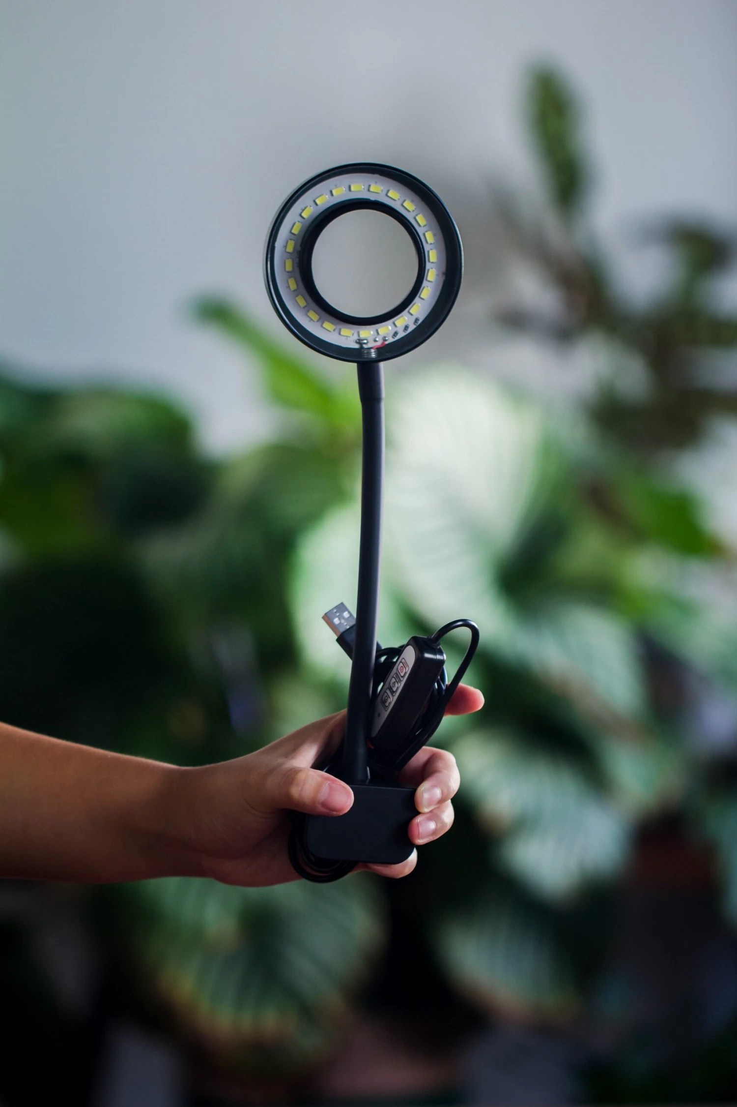 NCYP Clip Grow LED Light, Gooseneck, USB, 10W, Display, Adjustable, For Succulents, Open Terrarium, Fish Tank, Moss, Fern, Tropical Plants 7 NCYP Clip Grow LED Light, Gooseneck, USB, 10W, Display, Adjustable, For Succulents, Open Terrarium, Fish Tank, Moss, Fern, Tropical Plants - Image 7